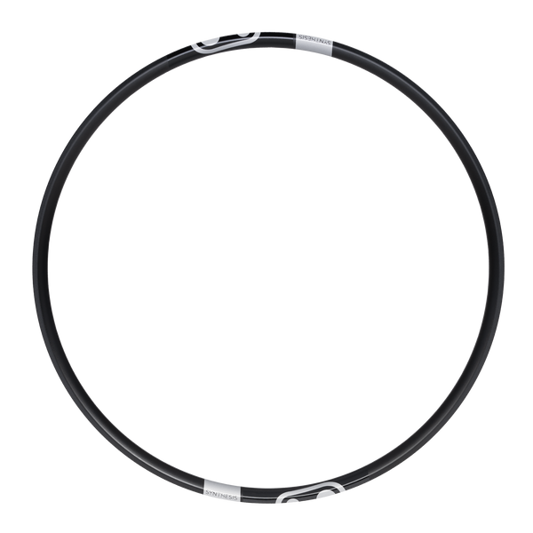 Synthesis DH & E-MTB Alloy 2.0 Rim