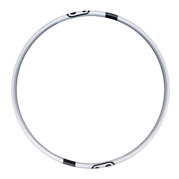 Synthesis DH & E-MTB Alloy 2.0 Rim