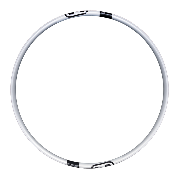Synthesis DH & E-MTB Alloy 2.0 Rim