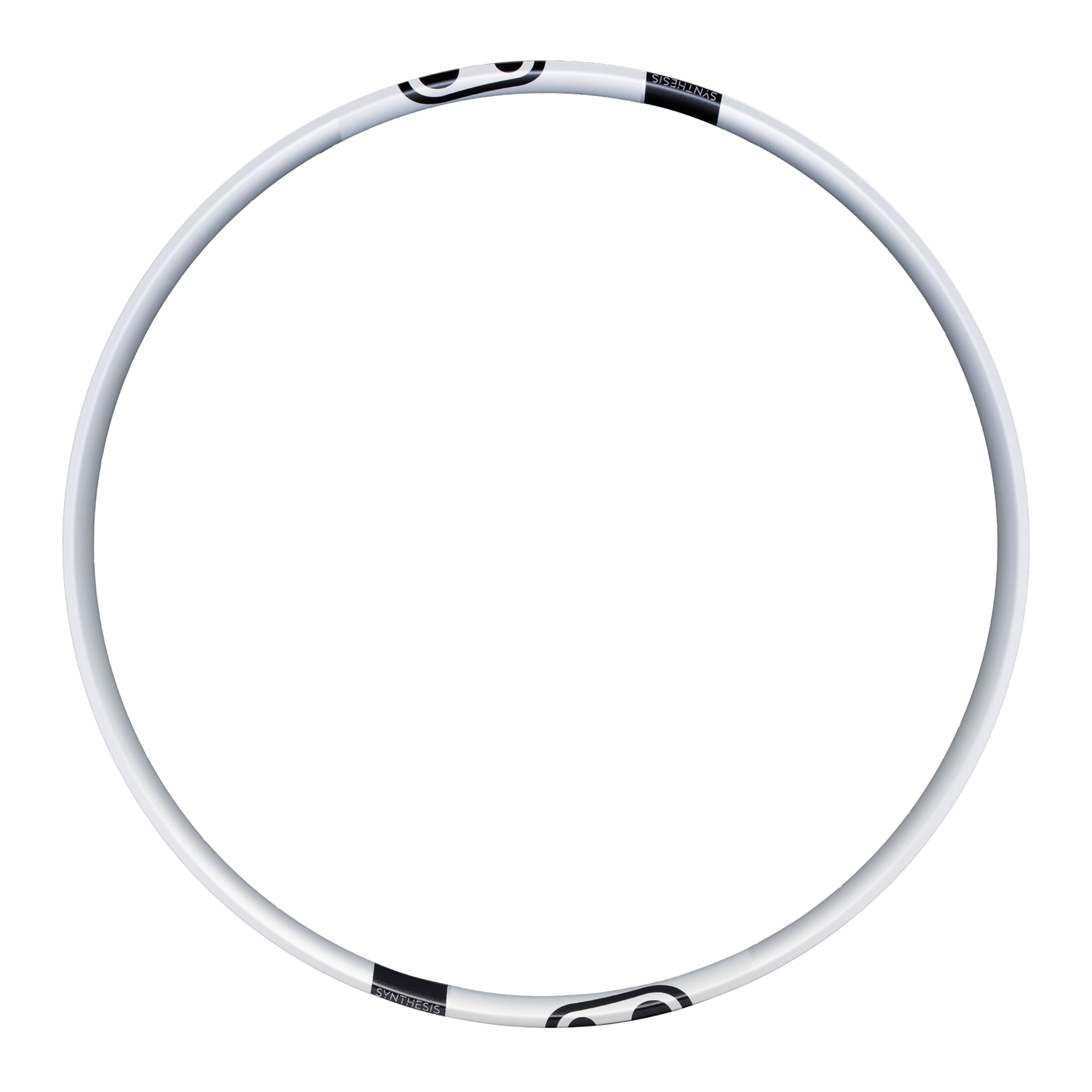 Synthesis Enduro Alloy 2.0 Rim