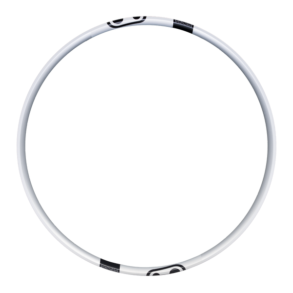 Synthesis Enduro Alloy 2.0 Rim