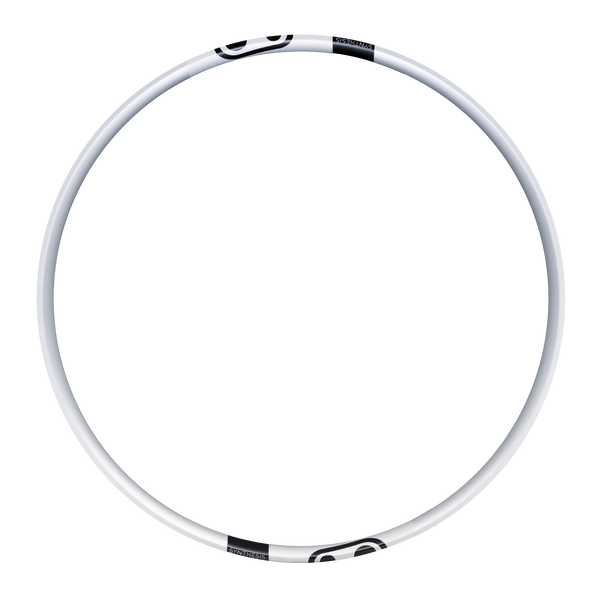 Synthesis Enduro Alloy 2.0 Rim