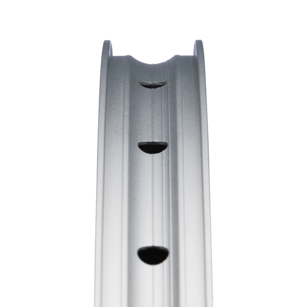 Synthesis Enduro Alloy 2.0 Rim