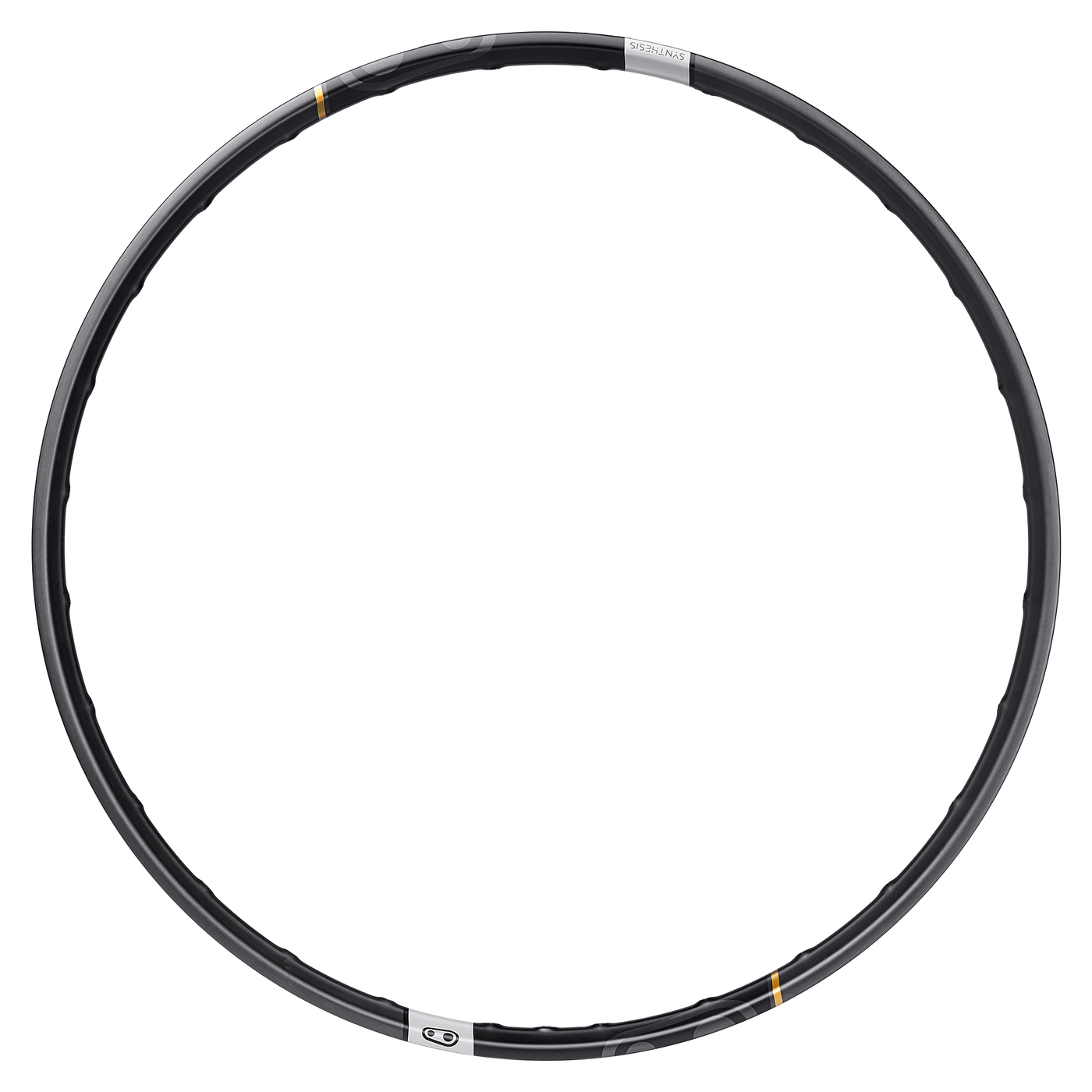 Synthesis Enduro Carbon Rim