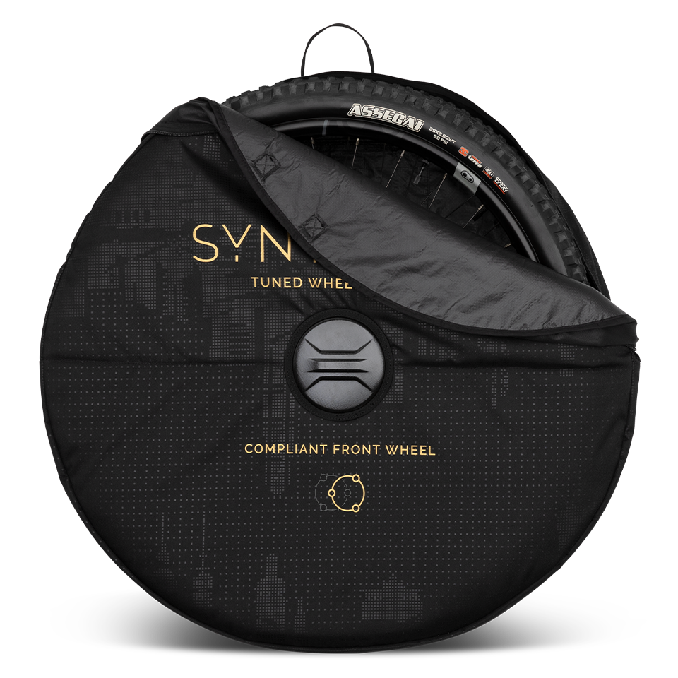 Synthesis Double Wheel Bag